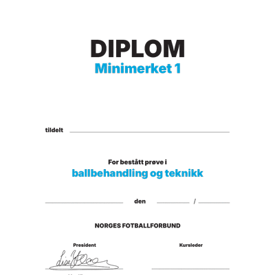 Minimerke I (blå) - Diplom