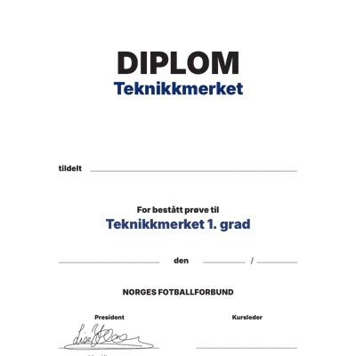Teknikkmerke (blå) grad 1 - Diplom