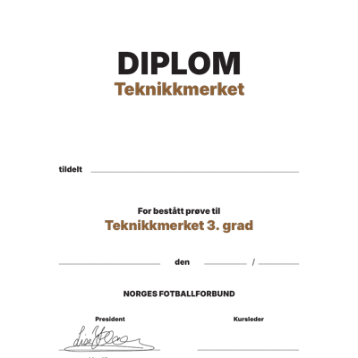 Teknikkmerke (bronse) grad 3- Diplom