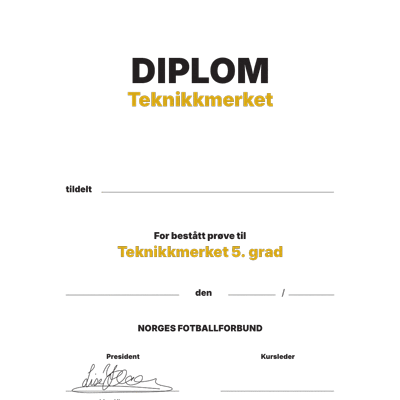 Teknikkmerke (gull) - Diplom